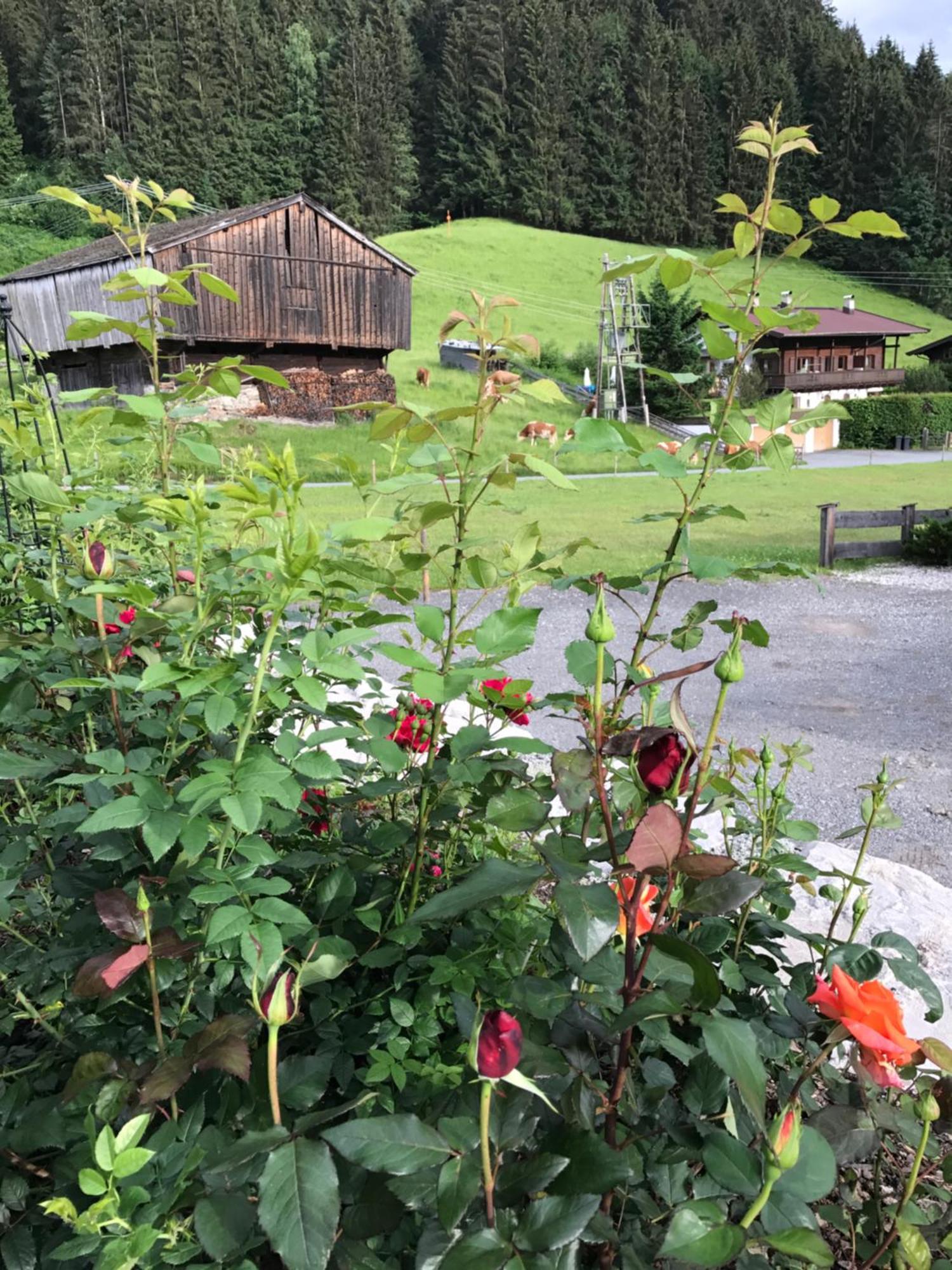 Das Kitz Jochberg Buitenkant foto